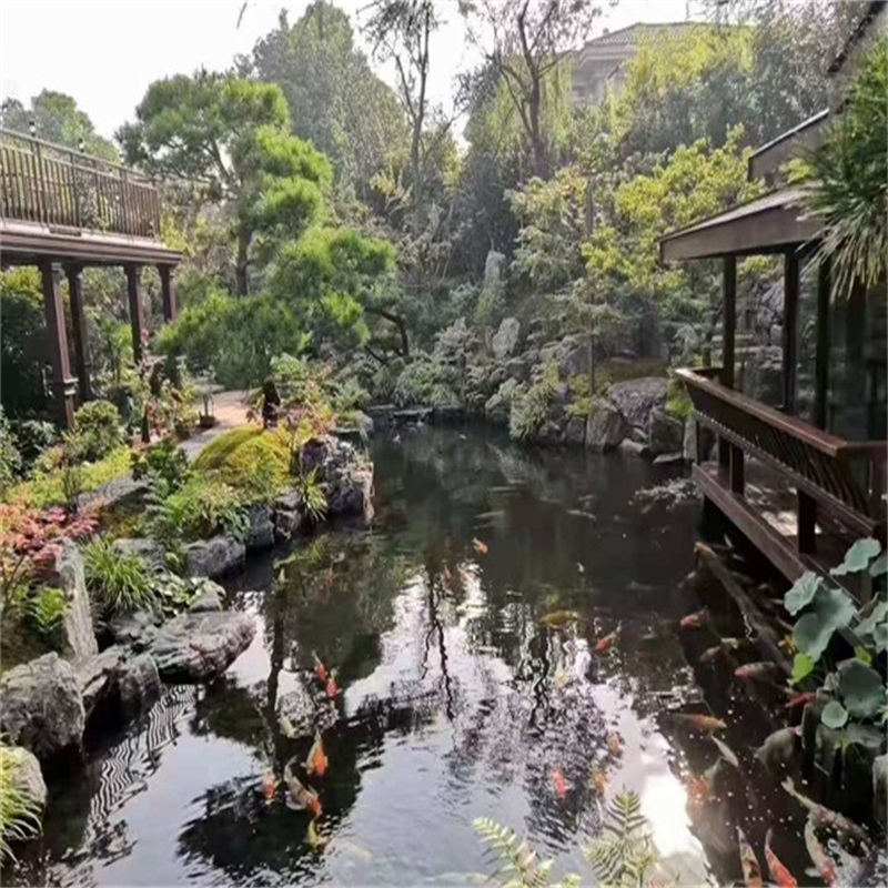 椒江假山植物小鱼池